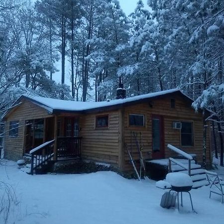 Rustic Quaint Cabin In The Woods--Pets Welcomed Dunnsville Ngoại thất bức ảnh
