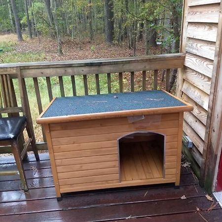 Rustic Quaint Cabin In The Woods--Pets Welcomed Dunnsville Ngoại thất bức ảnh