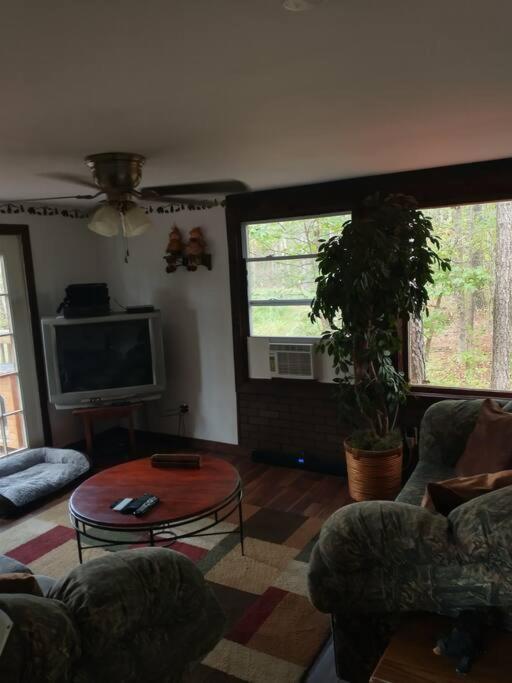 Rustic Quaint Cabin In The Woods--Pets Welcomed Dunnsville Ngoại thất bức ảnh