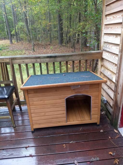 Rustic Quaint Cabin In The Woods--Pets Welcomed Dunnsville Ngoại thất bức ảnh